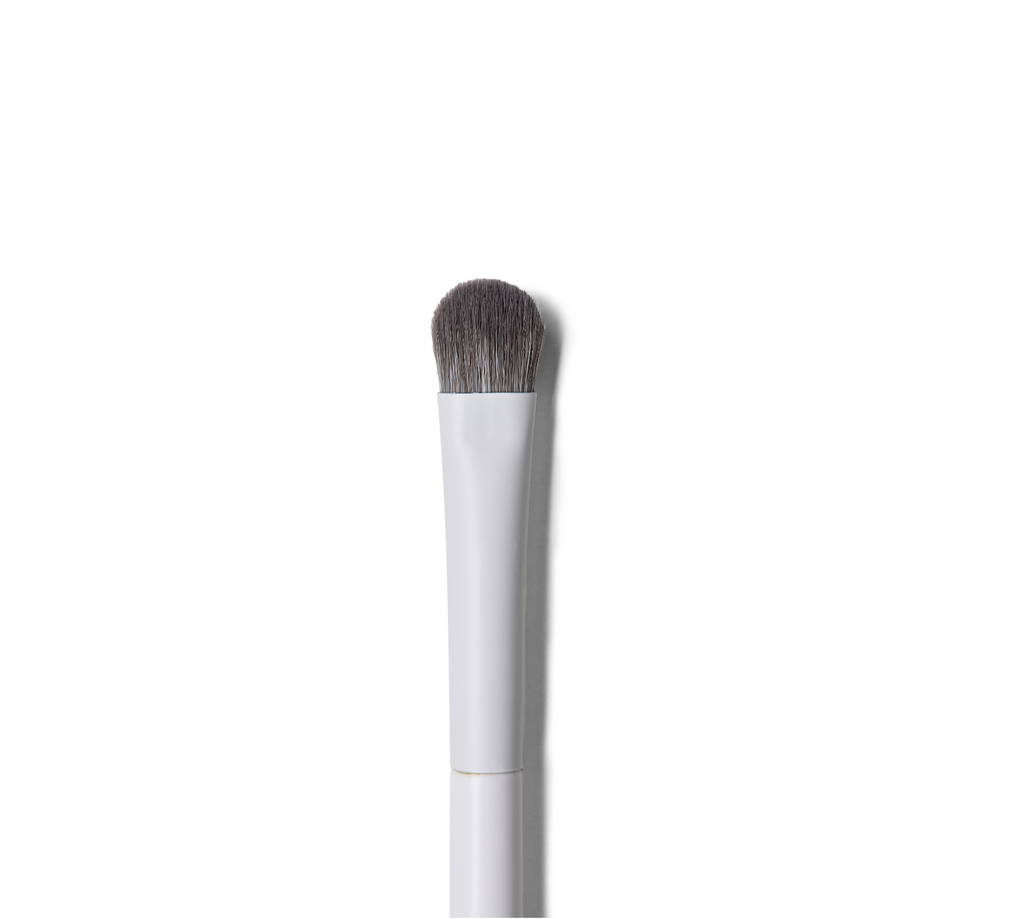 #6 Eyeshadow Brush